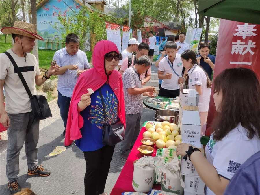 新闻稿案例 |赤峰XX节美食盘点(图3)