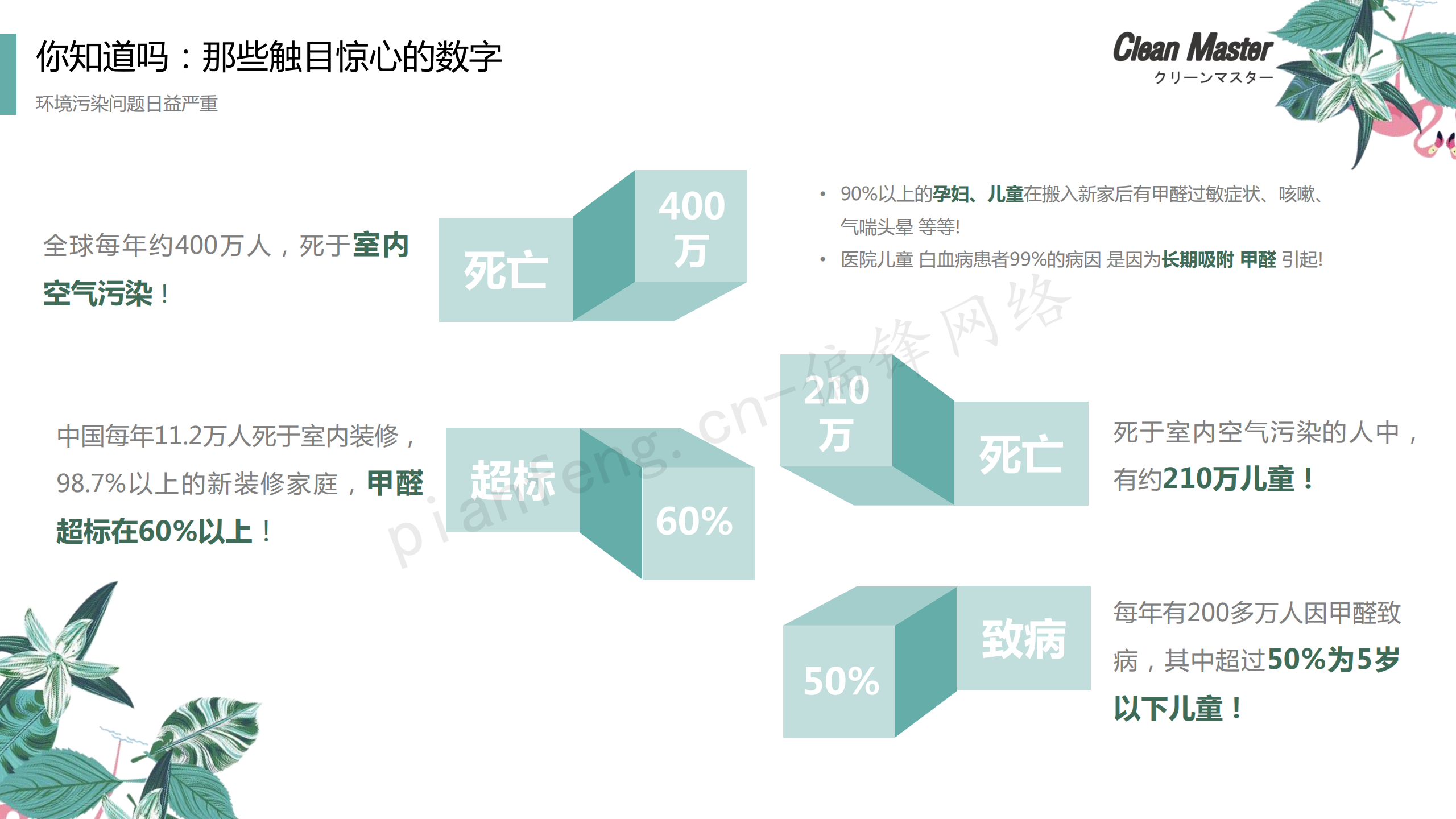 PPT案例|XX生物科技公司净大师产品手册推介品牌小清新色调(图5)