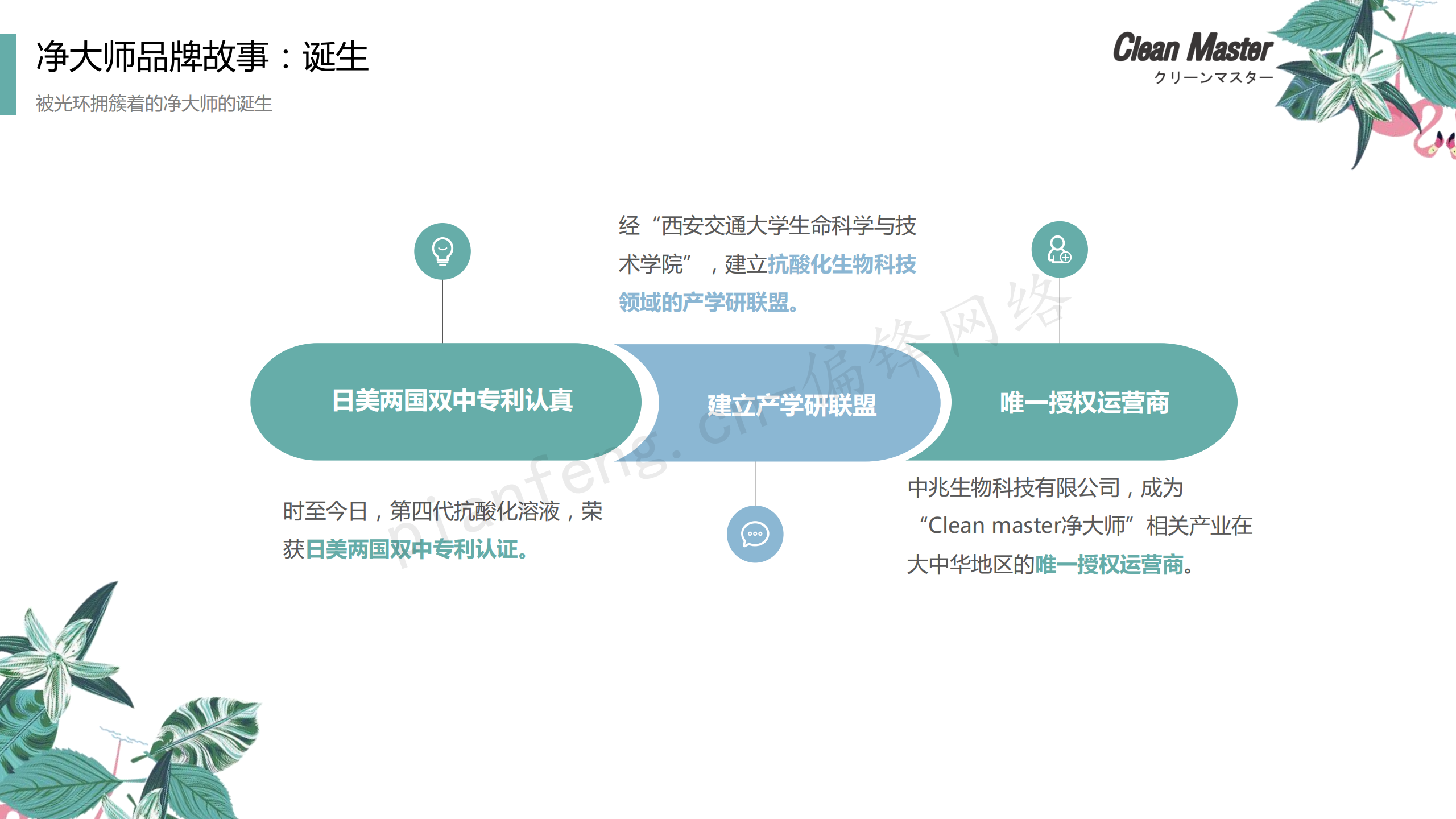 PPT案例|XX生物科技公司净大师产品手册推介品牌小清新色调(图11)