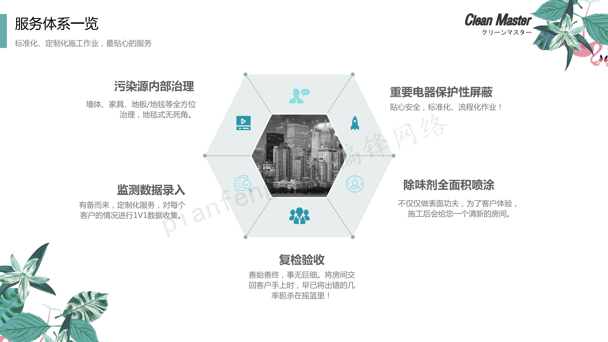 PPT案例|XX生物科技公司净大师产品手册推介品牌小清新色调(图35)