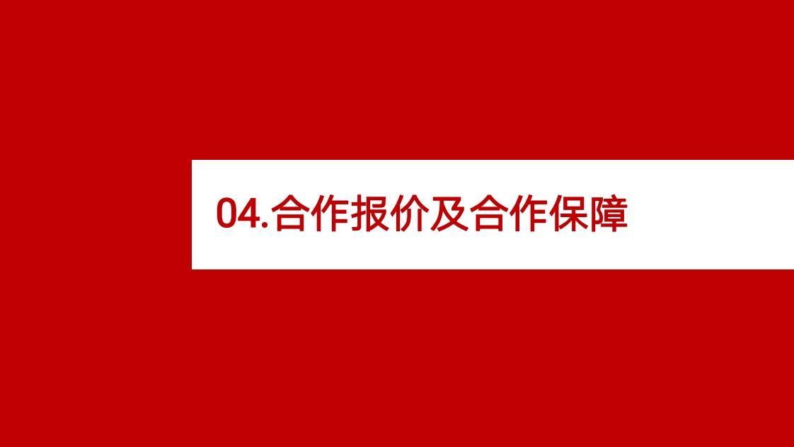 PPT案例|XX合作项目偏锋公司营销策划推广案例展示(图19)