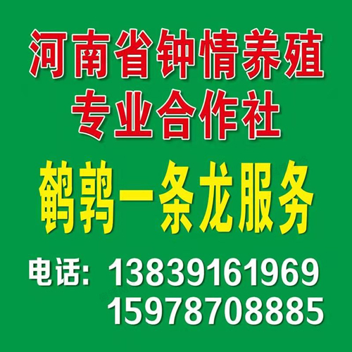 偏锋公司农林牧渔业客户品牌案例文案代写策划设计A000-549(图9)