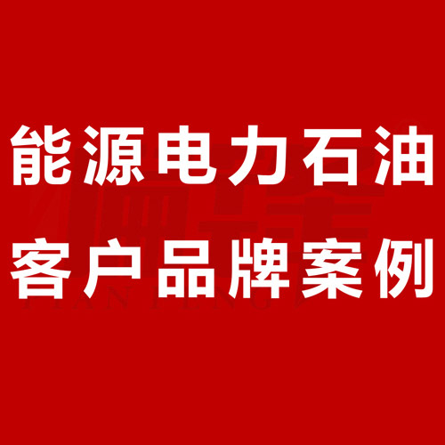 偏锋公司能源电力石油客户品牌策划整合营销全网络推广案例D000(图1)