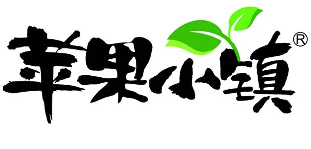偏锋公司招商加盟品牌策划整合营销全网络推广案例L7292(图3)