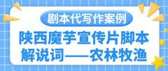 剧本代写作案例|陕西魔芋宣传片脚本解说词——农林牧渔