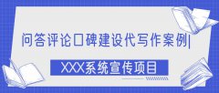 问答评论口碑建设代写作案例|XXX系统宣传项目