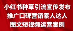 小红书种草引流宣传发布推广口碑营销素人达人图文短视频运营案例